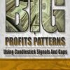 Big Profit Patterns Using Candlestick Signals and Gaps By Stephen W. Bigalow