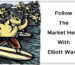 Follow The Market Herd With Elliott Wave By Ryan Henry Cover