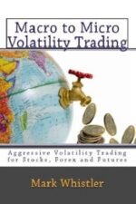 Macro to Micro Volatility Trading By Mark Whistler (2011)