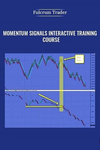 Momentum Signals Interactive Training Course