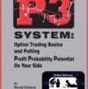 P3 System By Wendy Kirkland
