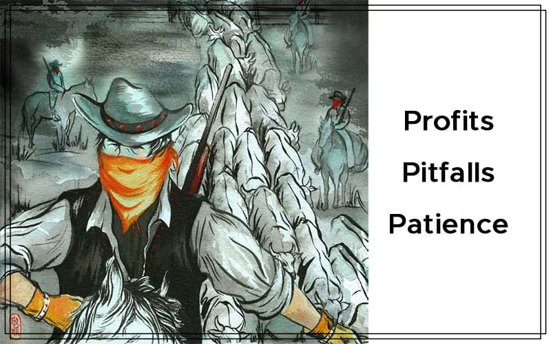 Profits, Pitfalls, Patience By Donald W. Pendergast Cover