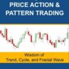 Scientific Guide To Price Action and Pattern Trading Wisdom of Trend, Cycle, and Fractal Wave By Young Ho Seo