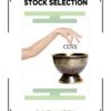 Stock Selection Course By Dave Landry