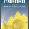 The Basics Of Elliot Wave Principle - Robert R Prechter