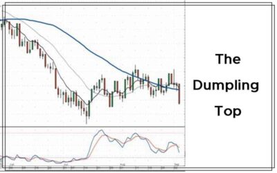 The Dumpling Top By Stephen W. Bigalow Cover