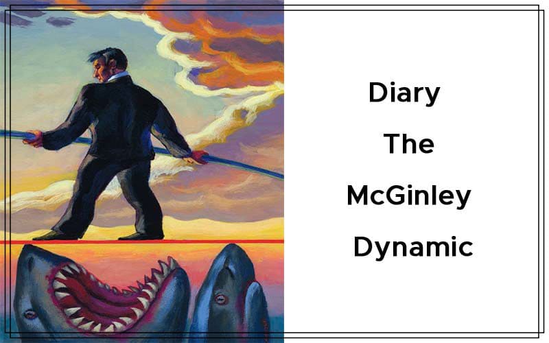 The McGinley Dynamic By Brian Twomey Cover