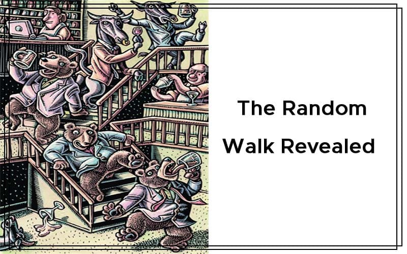 The Random Walk Revealed By Ron Davis Cover