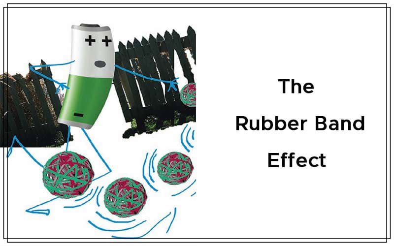 The Rubber Band Effect By Alexander Elder Cover