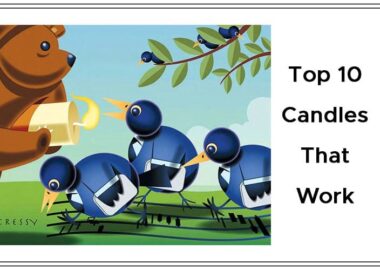 Top 10 Candles That Work By Thomas N. Bulkowski Cover