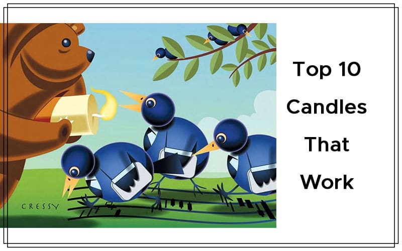 Top 10 Candles That Work By Thomas N. Bulkowski Cover