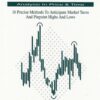 Turning Point Analysis In Price and Time By Joseph T Duffy