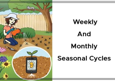 Weekly And Monthly Seasonal Cycles By Krista and Konrad Sherinian Cover