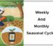 Weekly And Monthly Seasonal Cycles By Krista and Konrad Sherinian Cover