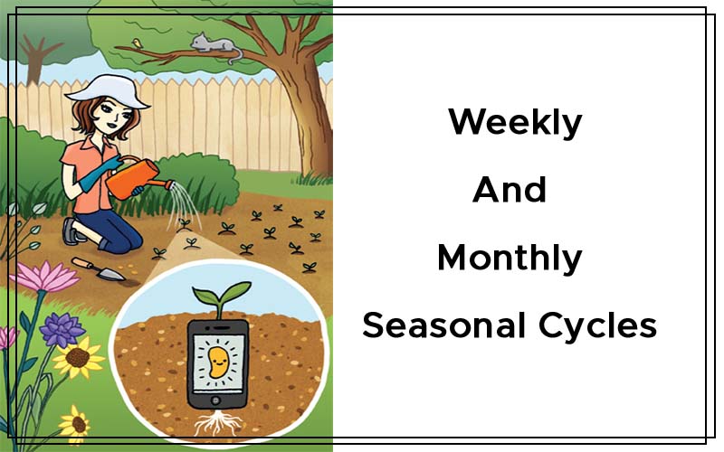 Weekly And Monthly Seasonal Cycles By Krista and Konrad Sherinian Cover